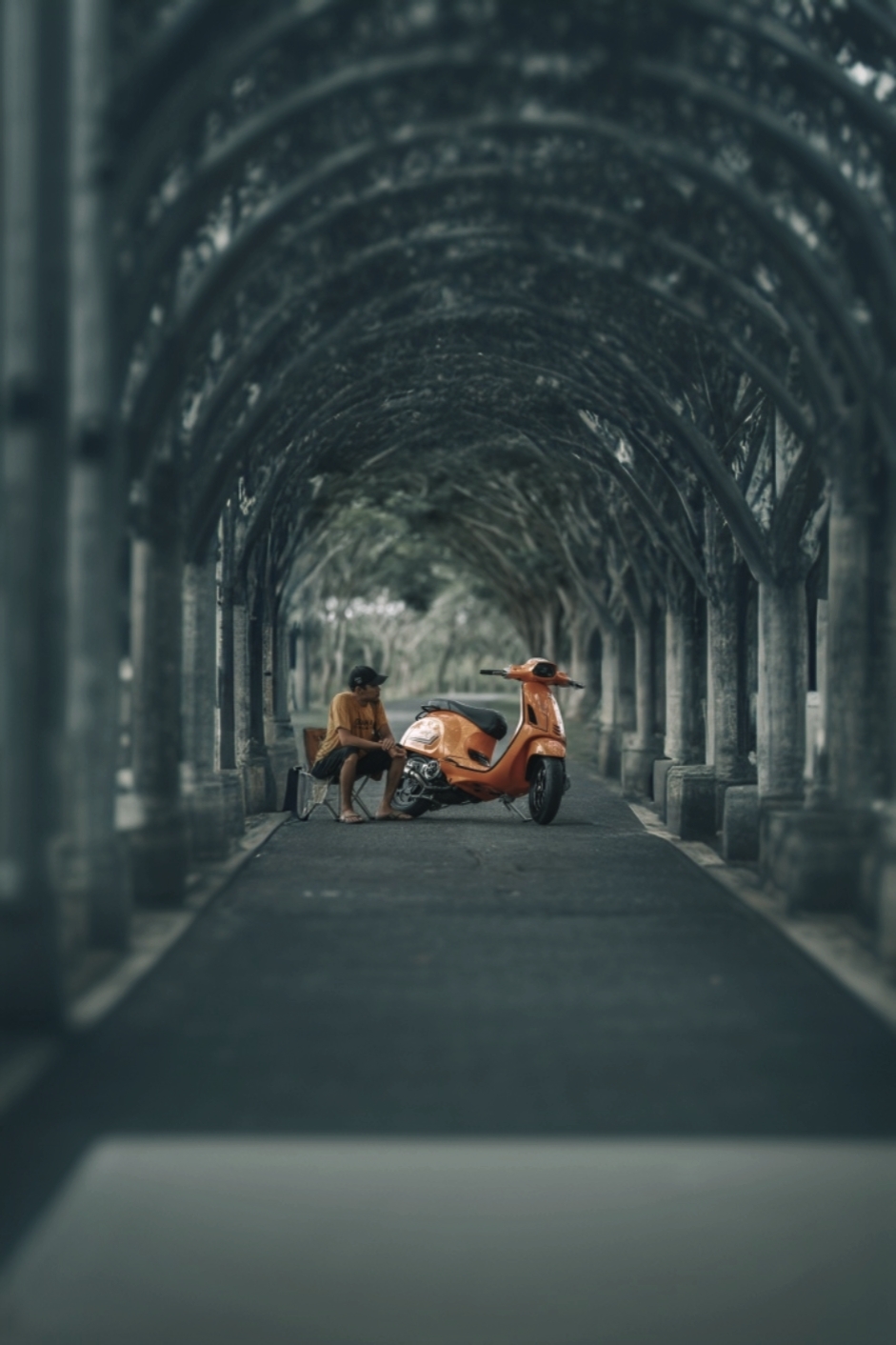 Cover Picture