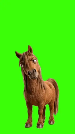 Horse/Cavalo.