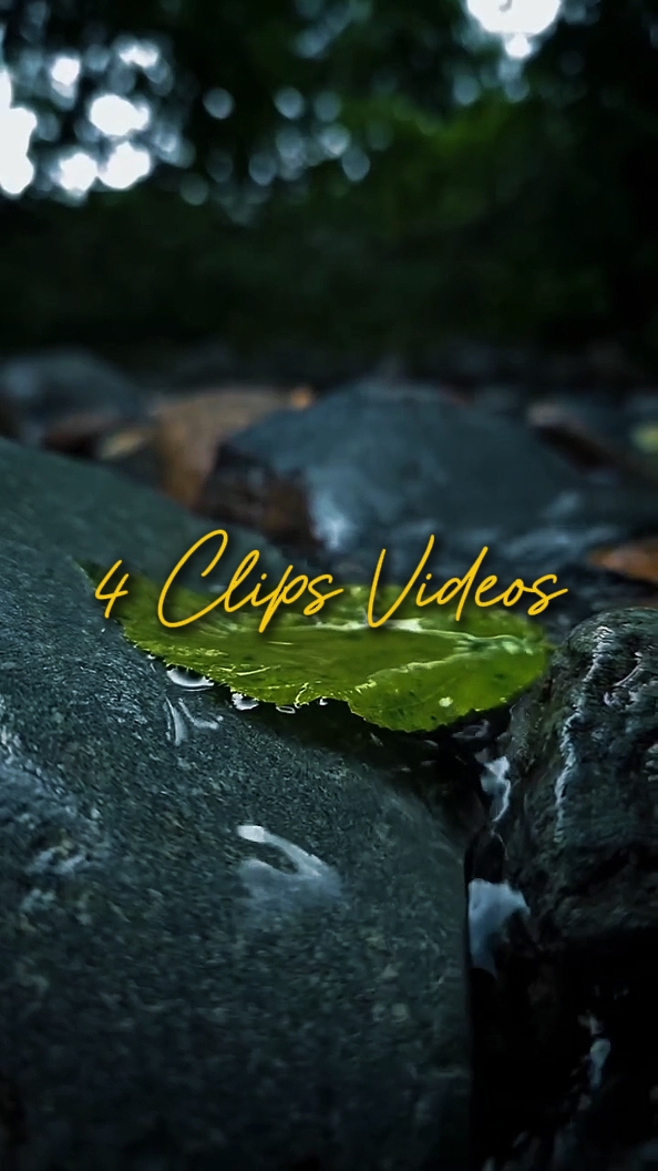 CINEMATIC 4 VIDEOS