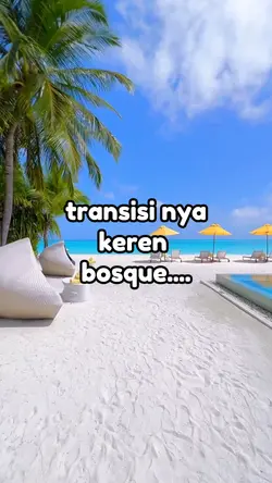 TRANSISI VIDEO