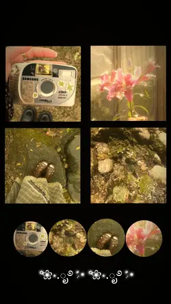 soft memories