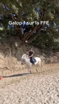 Galop 1 sur la FFE 