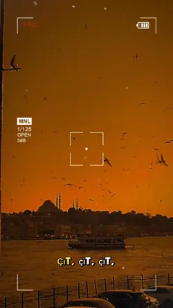 Çıt çıt Çedenede 🕺