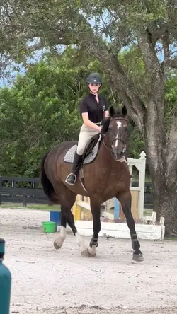 HE SO CUTE ⚠️FAKE⚠️