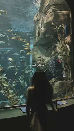 Cukup besar tuk meng