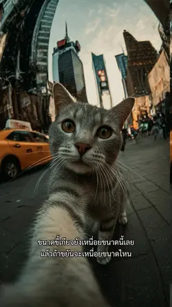 ขยันแล้วจะขนาดไหน