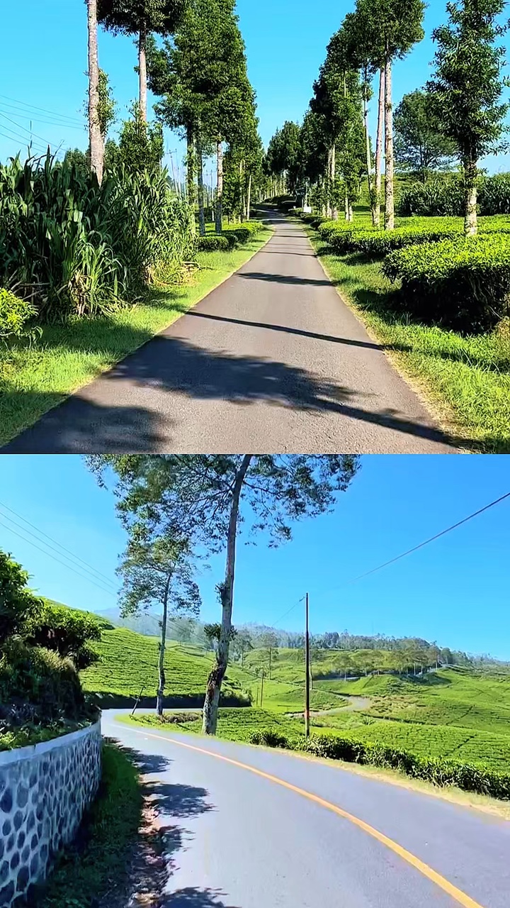 2 video 1 frame