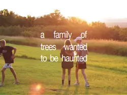 summervlog kids mgmt
