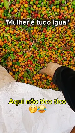 aqui não tico tico
