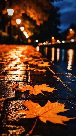 Kaldım karabulut 🖤