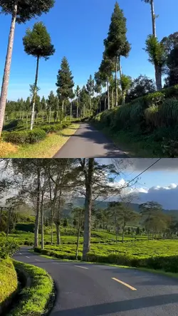 2 video 1 layout