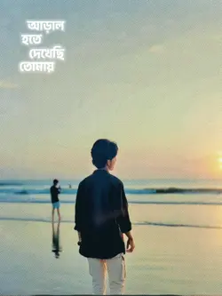 আড়াল হতে দেখচি তোমায়