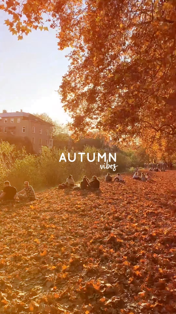 Autumn Vibes 