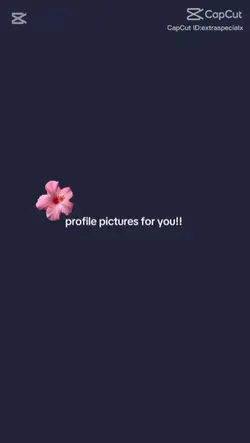 Pfp 4 u