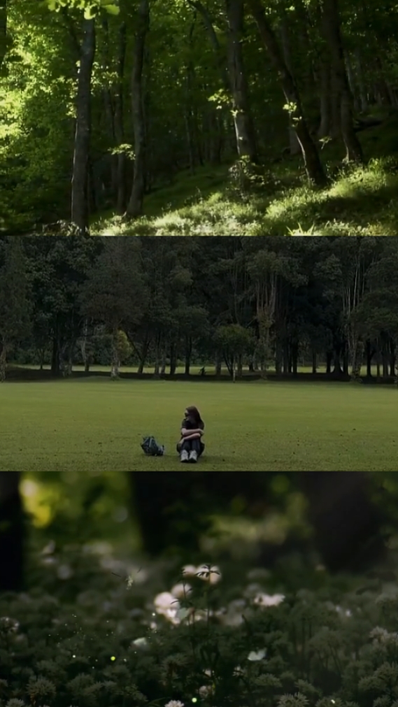 nature videos 3grid