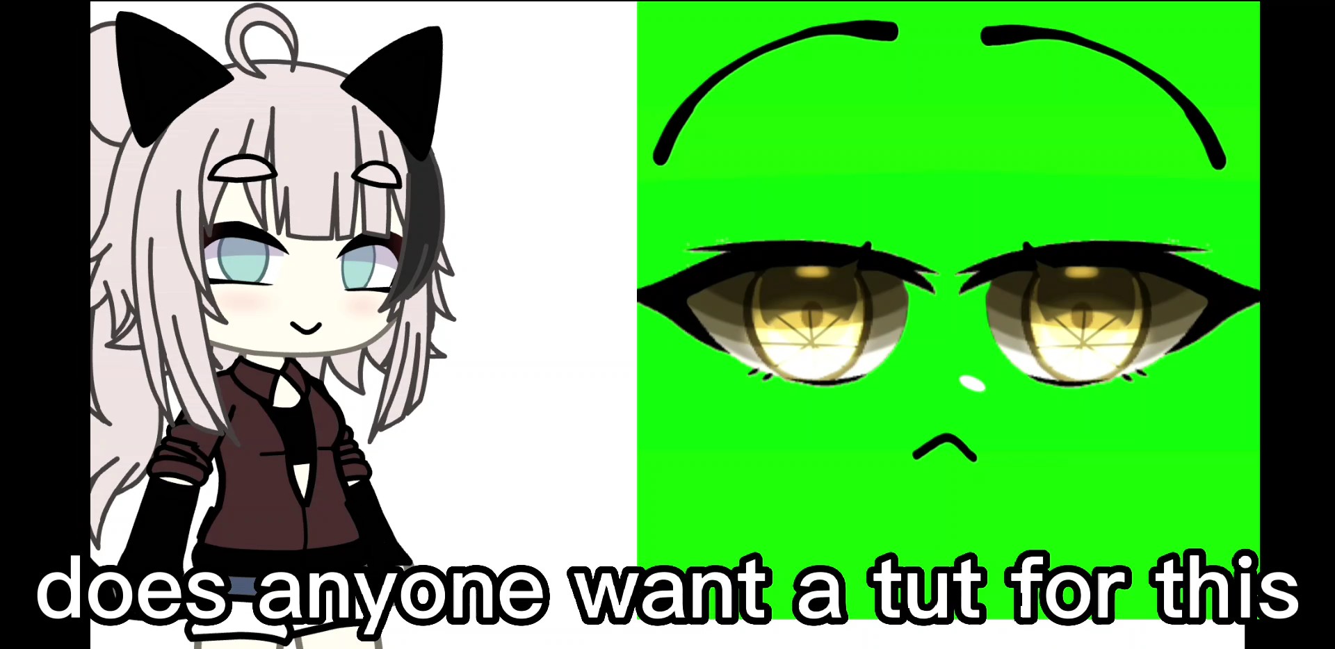 anyone wanna tut