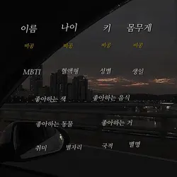 200팔 공약 자소서템 제작