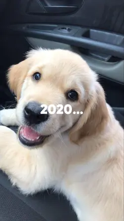 2024🕊️