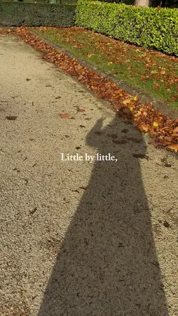 Little by Littl