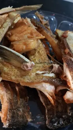PEIXE COMÉDIA