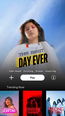 template Netflix