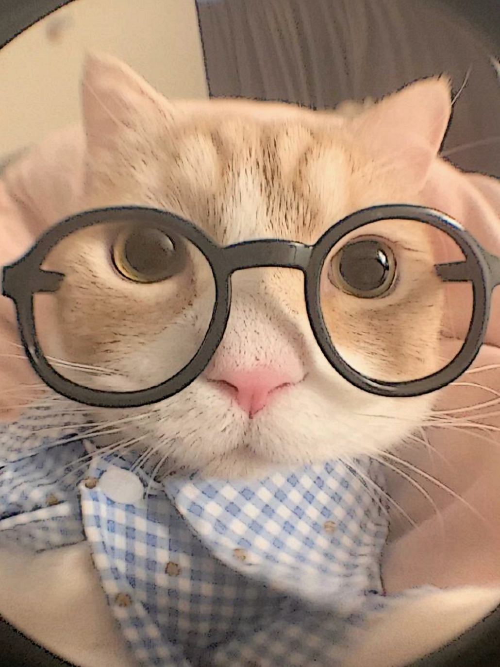 3:4 no mirror 