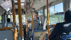 travel video templat