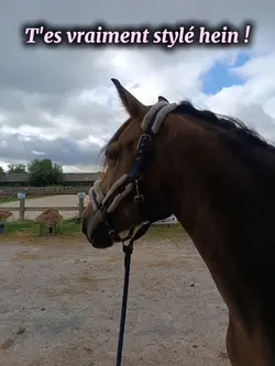 T'es vraiment stylé 
