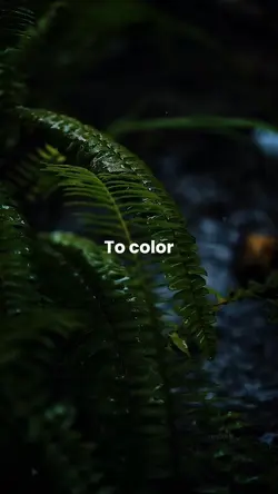 To color,cinematic