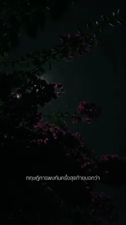 ทฤษฎีครั้งสุดท้าย