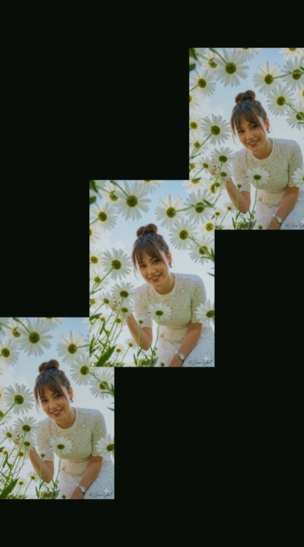 Flores de tendencia