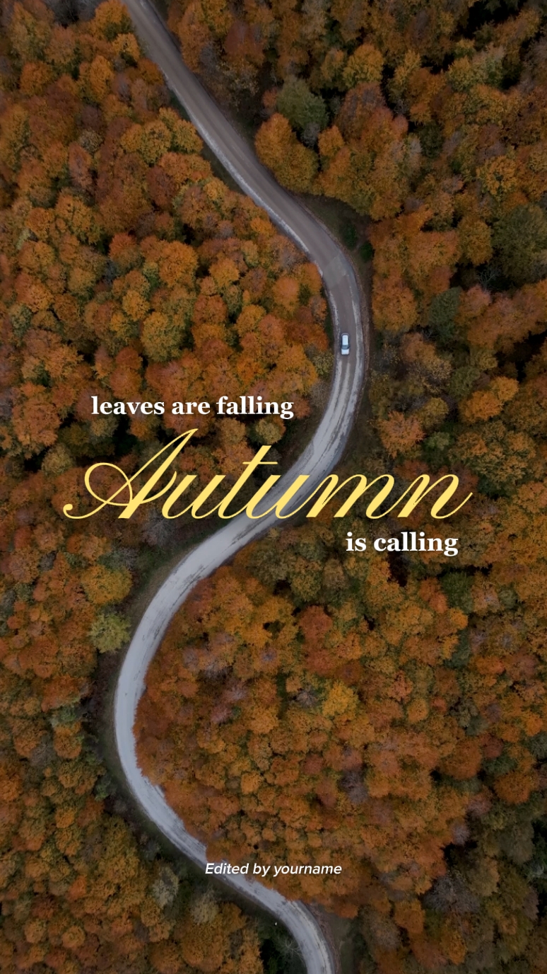 Leaves are falling 