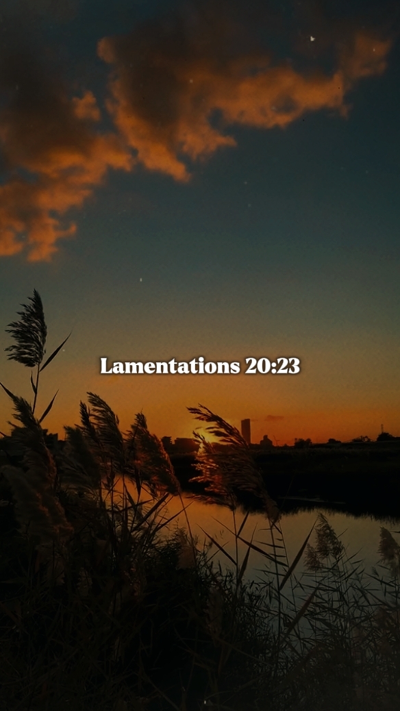 A New Beginning