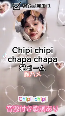 Chipi chipi chapa×2