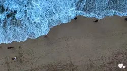 travel video