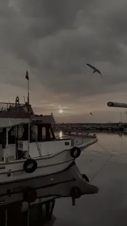 slow motion şablon 