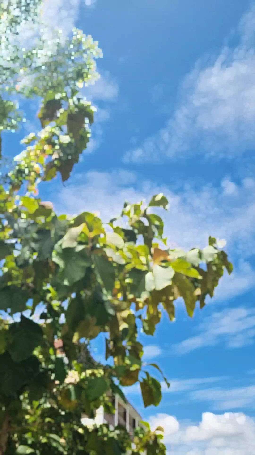 Captura de pantalla de tendencia