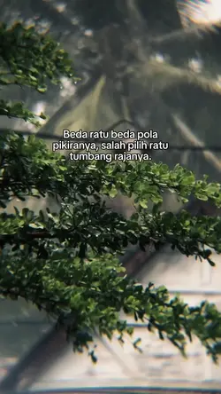 Beda ratu beda pola