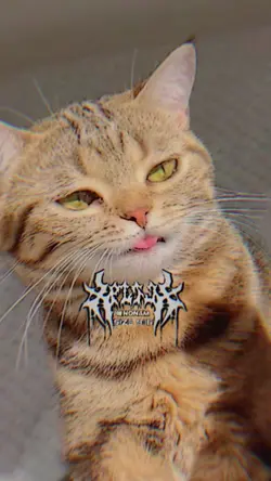 อนันตะปัดชะเย 2รูป