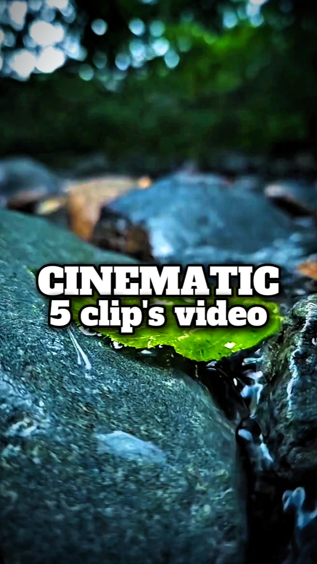 video 5 klip