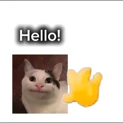 Hello