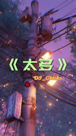 《太多》DJ_Chicks|5P