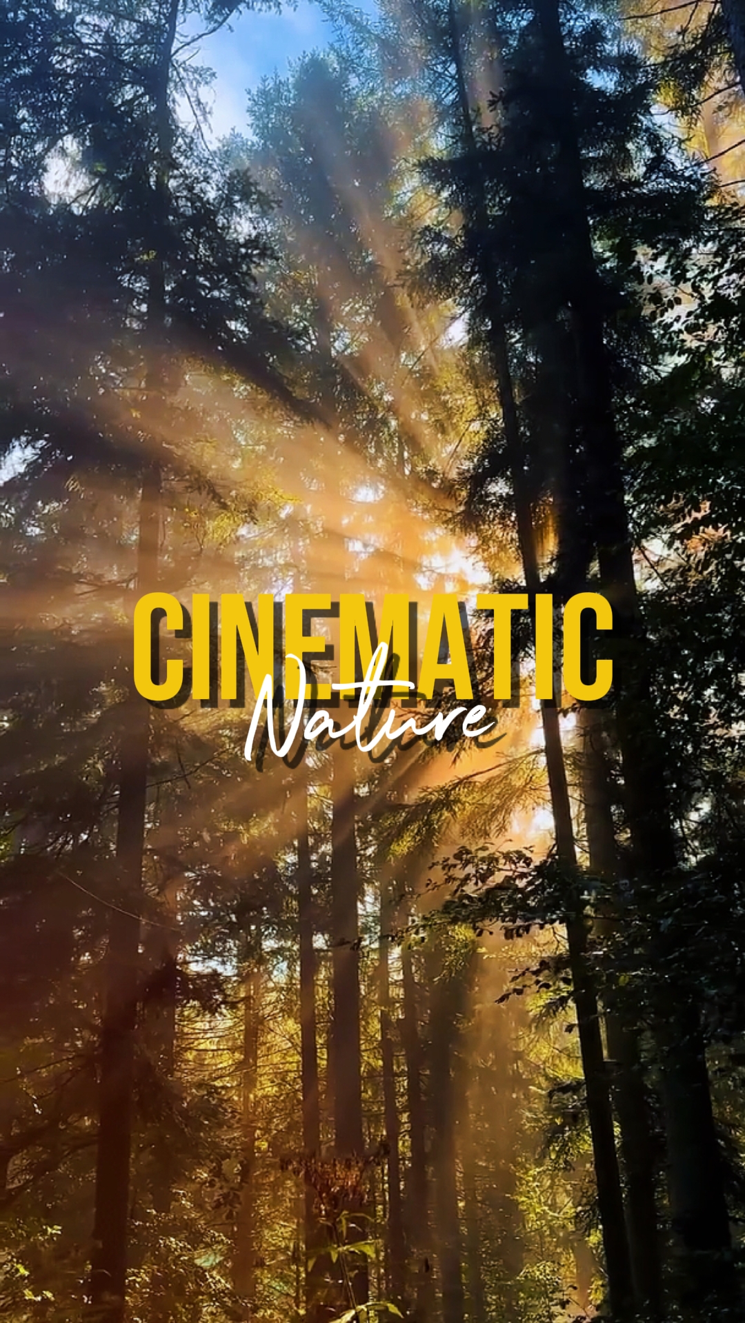 NATURALEZA CINEMÁTICA