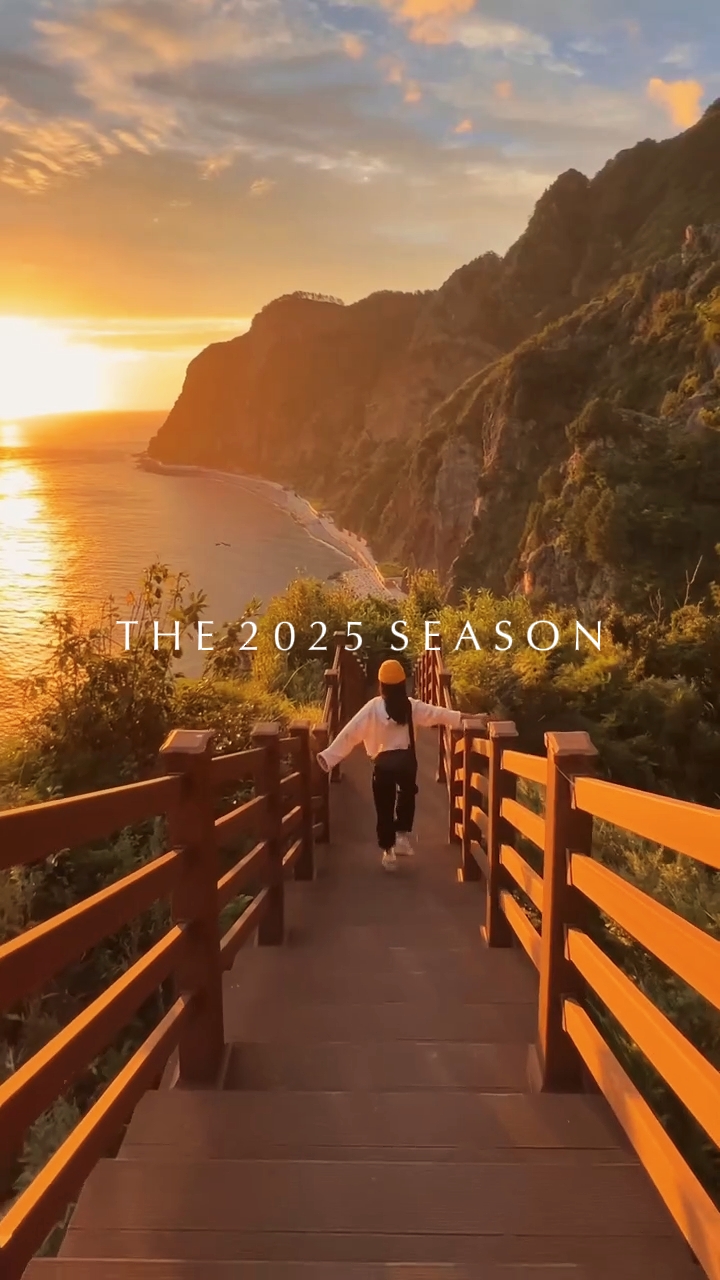 Recuerdos de 2025