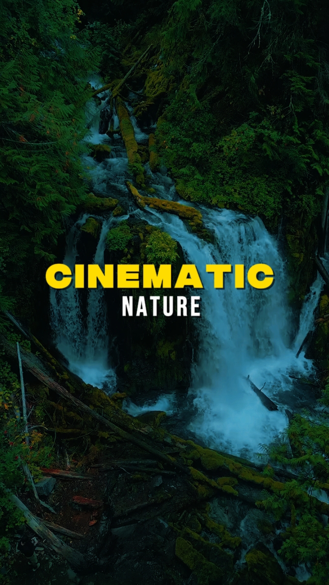 Cinematic Nature 