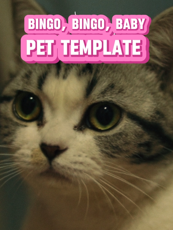 pet template 