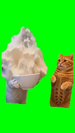 CAT MEME FLOUR MESS