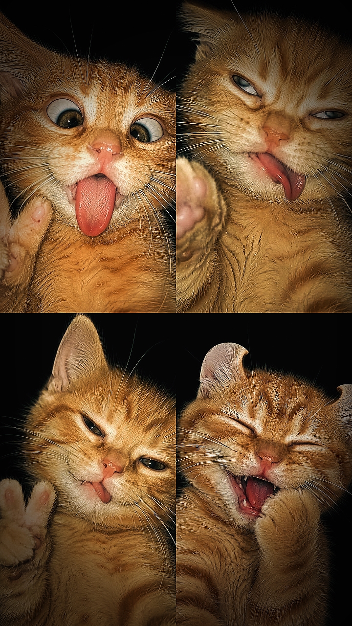 Modelos de fotos