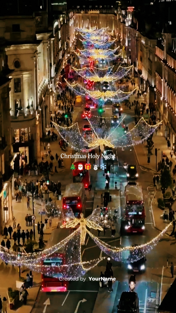 Weihnachten Stechpalme Nacht