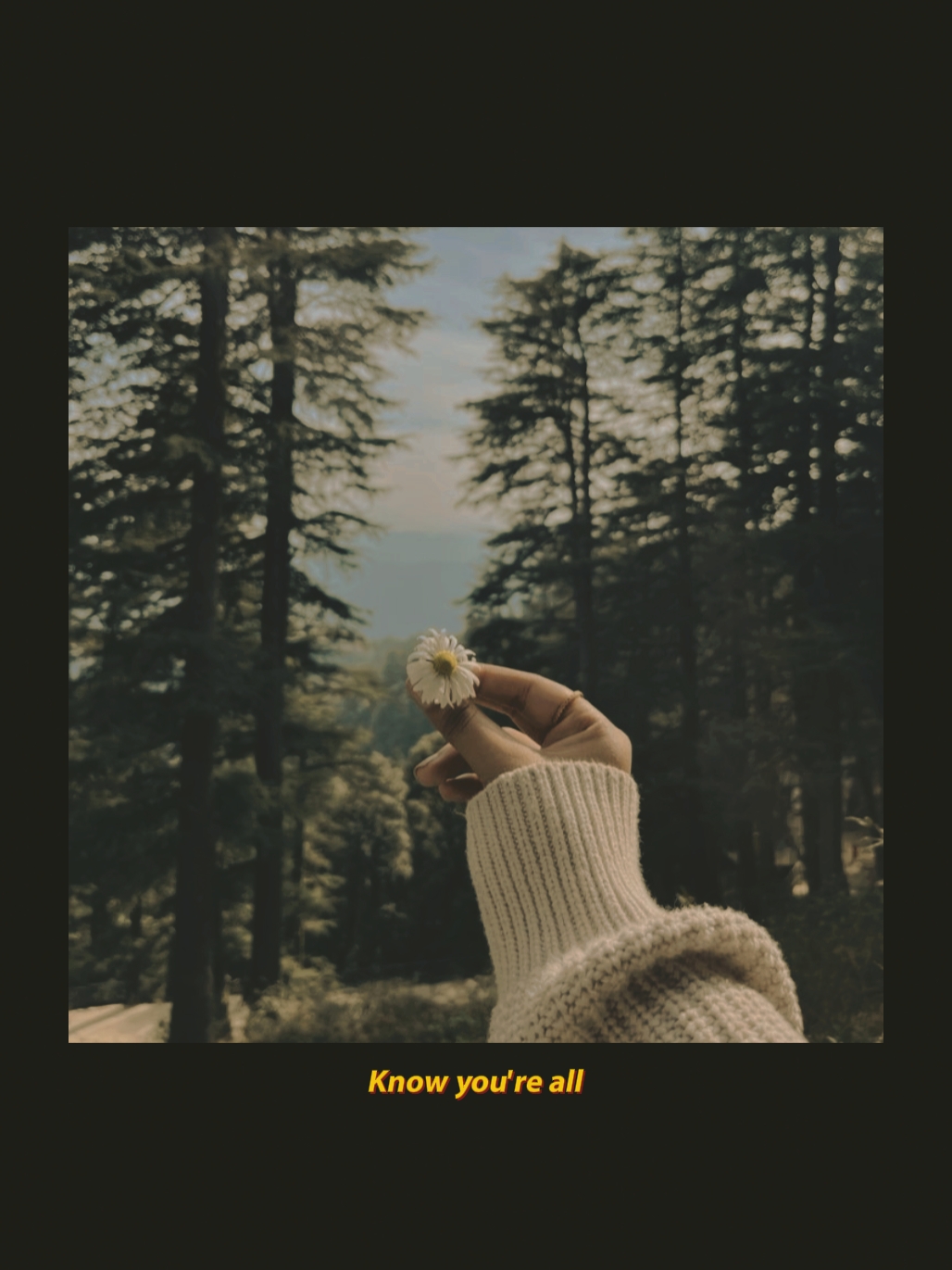 blau - yung kai